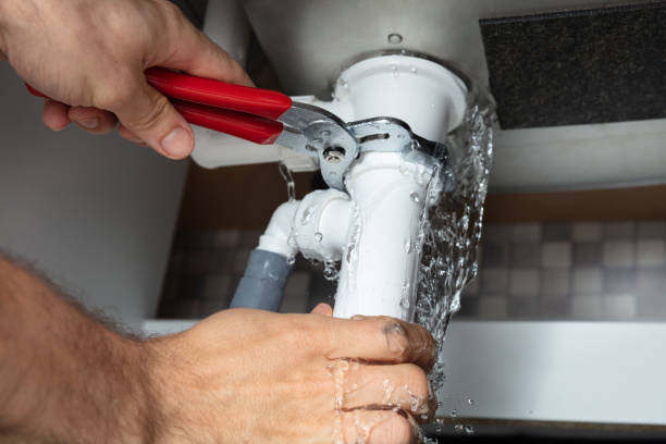 Best Carpet water damage restoration  in Winlock, WA