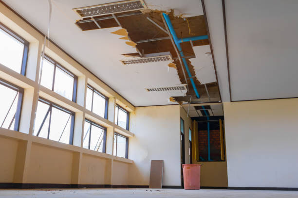 Best Water damage cleanup near me  in Winlock, WA