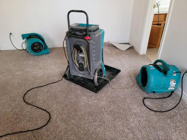 Water damage restoration experts in Winlock, WA