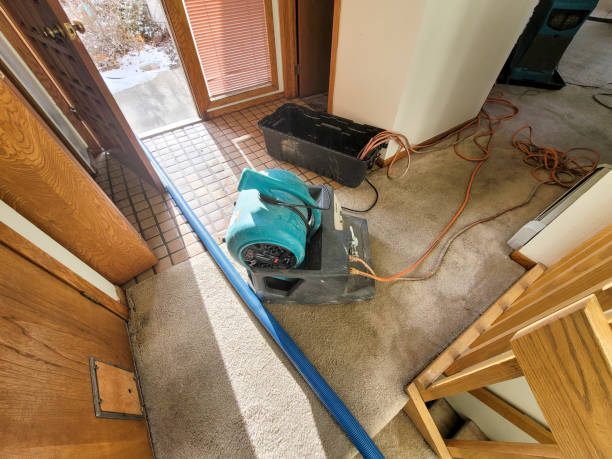 Best Water damage restoration mold remediation  in Winlock, WA
