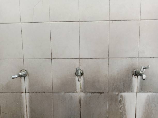Best Fire Damage Restoration  in Winlock, WA