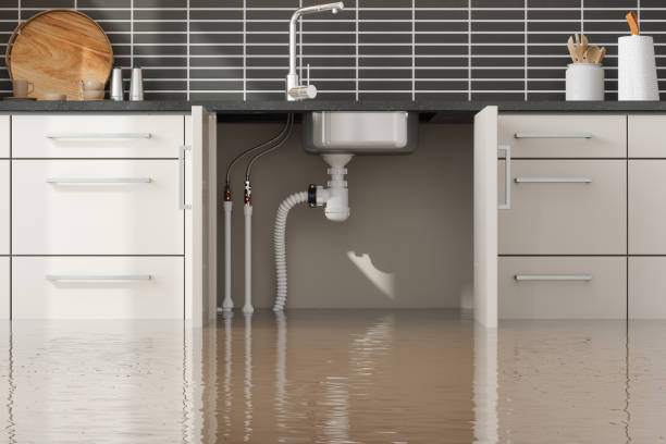 Best Flood damage cleanup  in Winlock, WA