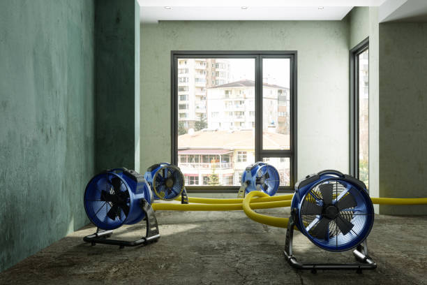 Best Water damage contractors near me  in Winlock, WA