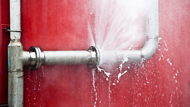 Reliable Winlock, WA Water damage restoration Solutions